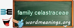 WordMeaning blackboard for family celastraceae